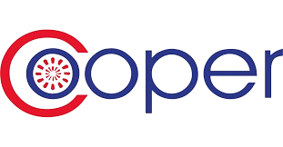 images removebg preview